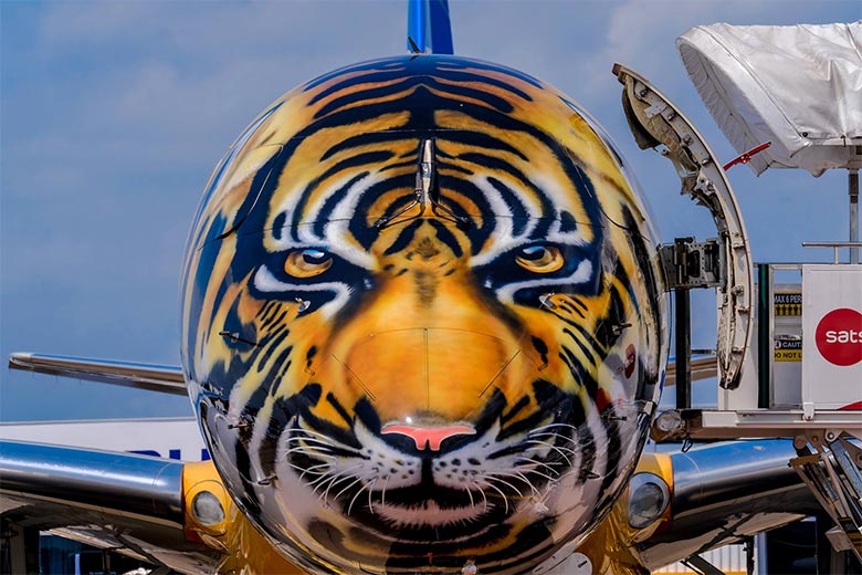 Embraer's Wild New Livery Embraer's Wild New Livery